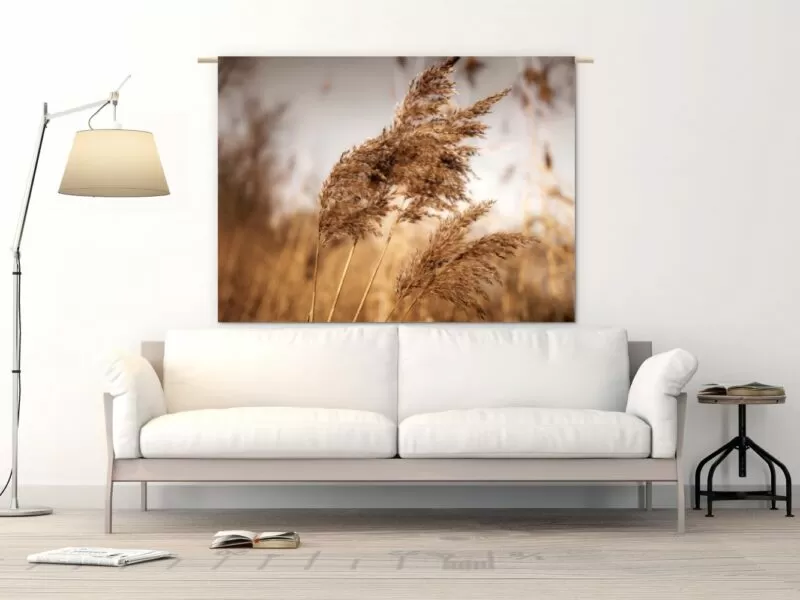 Dried Reed