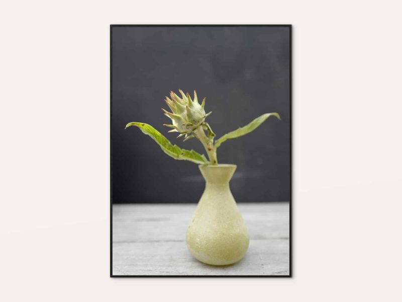 Artichoke In Vase